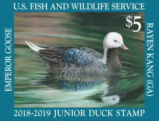 Waterfowl Stamp Design Contest Deadline for Entries is Aug. 1